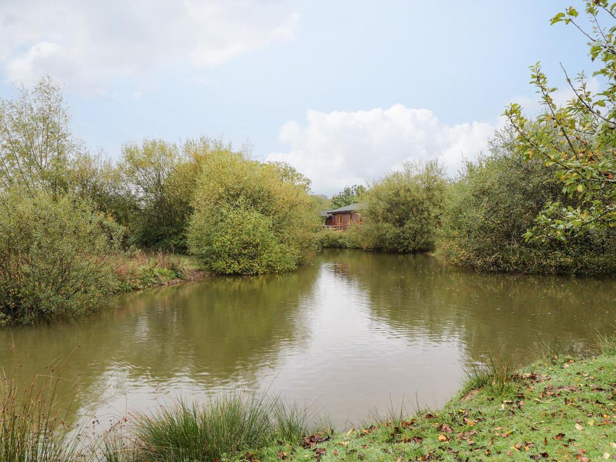 Braeburn Lodge Winkleigh Εξωτερικό φωτογραφία