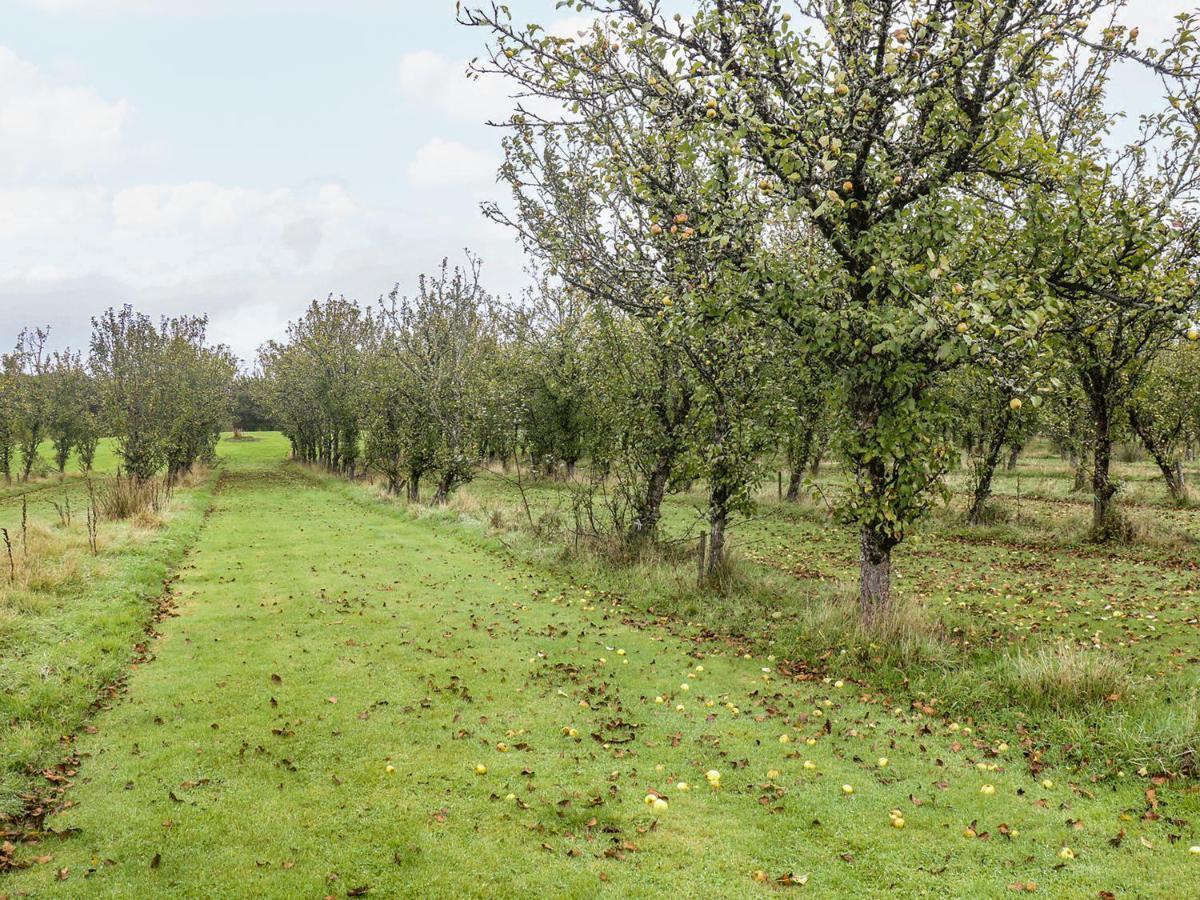 Braeburn Lodge Winkleigh Εξωτερικό φωτογραφία